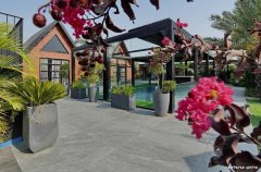 אחוזת קמפניה נירה 66