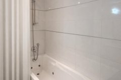 היערה הלבנה 11