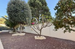 אחוזת קיסריה 39