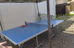 וילה בין העצים 14