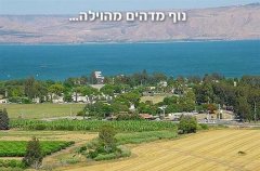 וילה אל הציפור 22