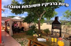 אחוזת חלום באדום 9
