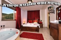 אחוזת חלום באדום 10