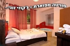 אחוזת חלום באדום 14