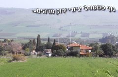 וילה אביגיל 7