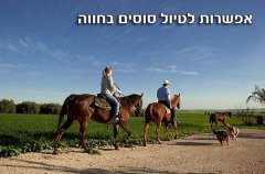 וילה מוסקט 2