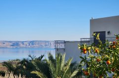 וילה מגדל 43