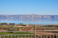 וילה מגדל 46