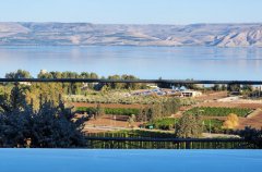 וילה מגדל 13