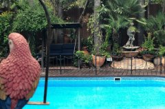 וילה דה קיסריה 15