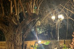 וילה דה קיסריה 89