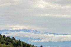 אחוזת רוורי 29