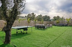 אחוזת אסתובן 13