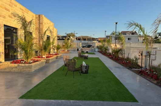 בית בד עצי הזית