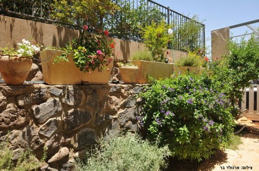 וילה אוורסט